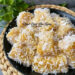 Resep Ongol Ongol Labu Kuning