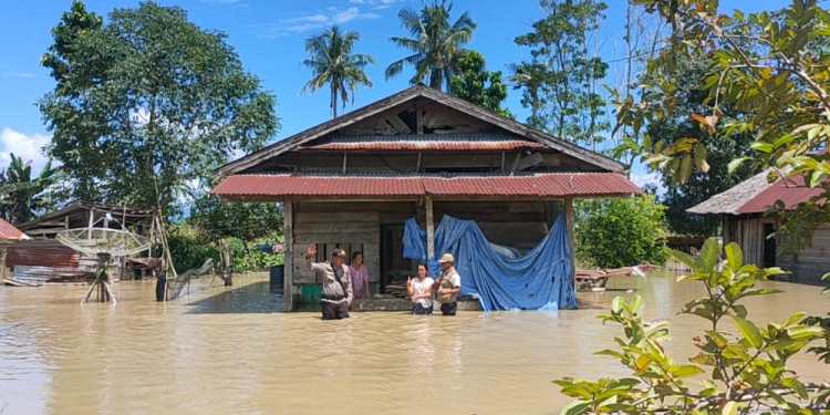 Rumah warga yang tergenang luapan air sungai Rongkong. (Ist)