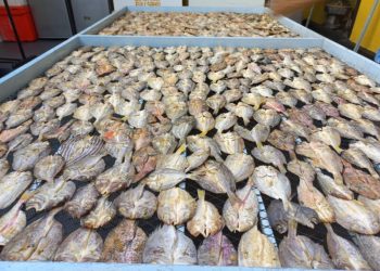 Mengawali profesi sebagai penyuluh bantu perikanan, Rizki (39 tahun) merintis usaha perikanan ikan kering yang diberi nama Jutsuka