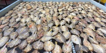 Mengawali profesi sebagai penyuluh bantu perikanan, Rizki (39 tahun) merintis usaha perikanan ikan kering yang diberi nama Jutsuka
