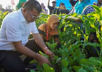 Setelah sempat tertunda, Pemerintah Pusat akhirnya menaikkan harga Bahan Bakar Minyak (BBM), per 3 September 2022.