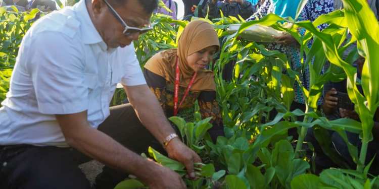 Setelah sempat tertunda, Pemerintah Pusat akhirnya menaikkan harga Bahan Bakar Minyak (BBM), per 3 September 2022.