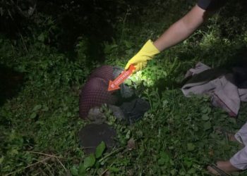 Warga Dusun Kaleleng, Desa Saotengngah, Kecamatan Sinjai Tengah, Kabupaten Sinjai dihebokan dengan penemuan mayat seorang nenek lanjut usia.