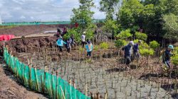 Pemerintah Provinsi Sulawesi Selatan gencar dalam menjaga dan merawat ekosistem alam, termasuk ekosistem hutan bakau.