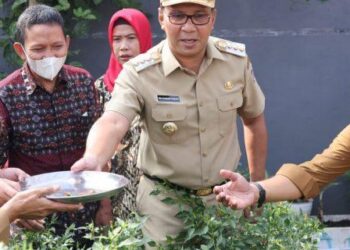 Andalkan Tanaman Hidroponik, Danny Pomanto Kunjungi Longwis Dewi Sari Zurich Tamalanrea