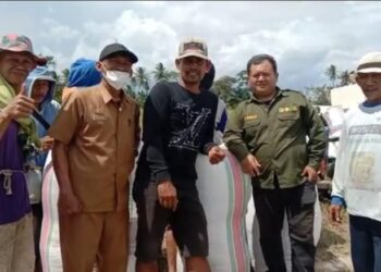 Program Mandiri Benih oleh Pemerintah Provinsi Sulawesi Selatan (Sulsel) sangat dirasakan manfaatnya oleh petani