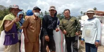 Program Mandiri Benih oleh Pemerintah Provinsi Sulawesi Selatan (Sulsel) sangat dirasakan manfaatnya oleh petani