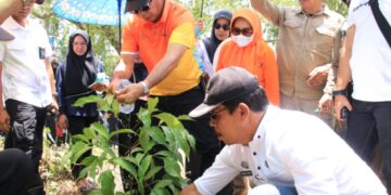 Penyelenggaraan Festival Pinisi tahun 2022 cukup berbeda dengan tahun sebelumnya, dimana tahun penanman Bibit Kayu Bitti, menjadi rangkaian