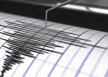 Gempa bumi terkini dirasakan di wilayah Mamuju Tengah Sulawesi Barat (Sulbar). Gempa tersebut  terjadi hari ini, Senin 26 September 2022 dini hari.