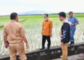 Puji Inovasi Mandiri Benih, Ketum PERAGI Acungi Jempol Gubernur Andi Sudirman