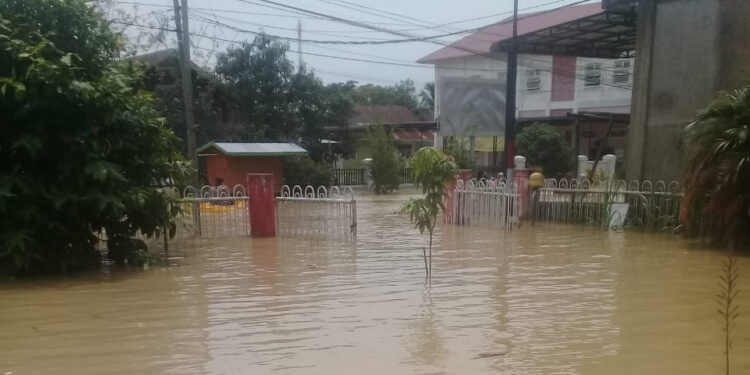 Aceh Utara Dikepung Banjir, Ribuan Rumah dan Ratusan Hektar Sawah Warga Terendam