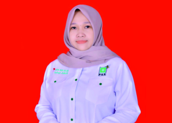 Andi Baso Ryadi Mappasulle